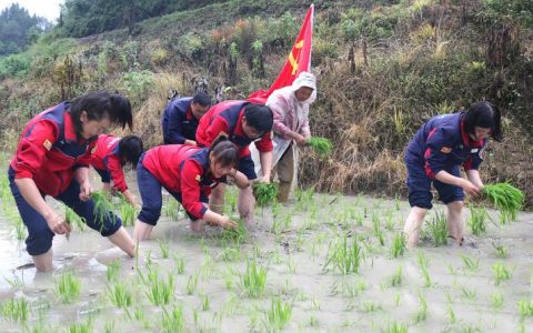 乡村振兴的“播种者”