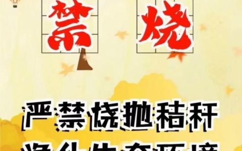 蕲春刘河镇纪委强化“以督促管”护航秸秆禁烧见成效