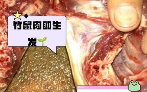 竹林深处蹚新路 通山县大路乡“竹鼠经济”激活沉睡资源