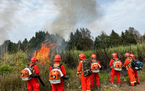 通山县九宫山镇开展森林防灭火应急实战演练