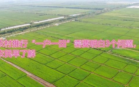 草莓＋玉米轮作 通山大路乡杨狮坑村“一田双收”激活土地潜力