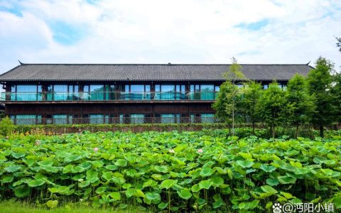 沔城回族镇守护莲花湖水清岸绿