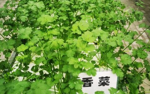 “三方联动”让竹林苑小区焕发新生