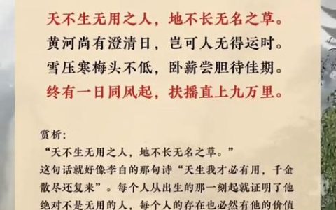 “飞雁”缘何变“归雁”？襄阳籍企业家携硬核实力归襄兴业，既是赤子情，更是新机遇