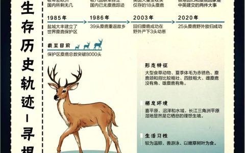 4位亲历者见证麋鹿保护世界传奇：从诺亚方舟到东方乐园