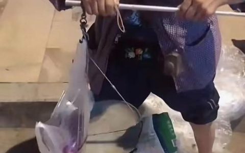 “沉睡资产”活起来 村民口袋鼓起来