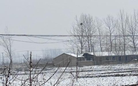 每位居民都能在这里找到家的感觉