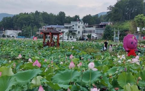 狮子镇利用生态资源打造全域文旅大格局