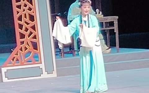 省黄梅戏剧院“戏曲送教”进武穴