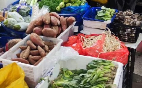 嘉鱼县陆溪镇界石村订单蔬菜走俏市场