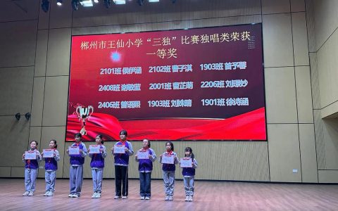 咸宁市第二届小学生素养大赛在赤壁圆满收官