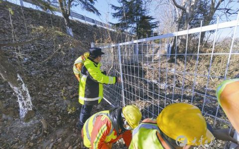 崇阳金塘镇织密森林防灭火“安全网”