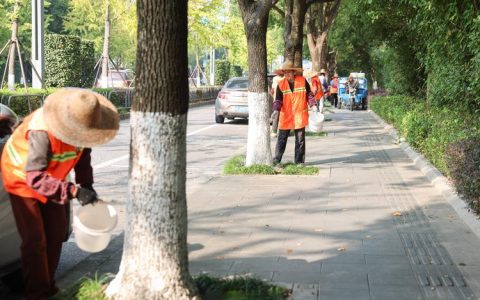 宣恩完成240公里公路行道树刷白养护工作