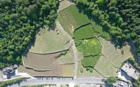 宣恩县4676万元耕地地力保护补贴直达农户