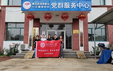 随州市以“明星村”“示范村”建设推动基层党建工作提质提效