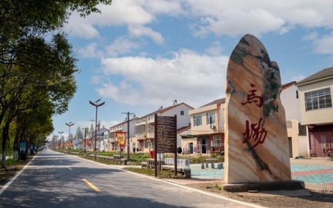 熊口镇：“小田并大田”绘就乡村振兴新图景