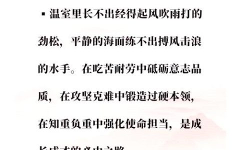 扎根基层练好内功　提升修养增强本领　为加快建成武汉都市圈重要增长极贡献力量