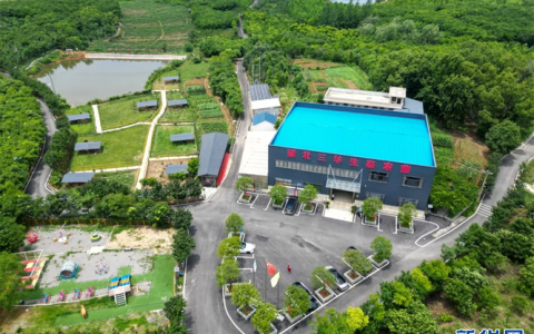 荒地生黄金　风景变钱景 大冶大力盘活“三资”激活乡村振兴动力