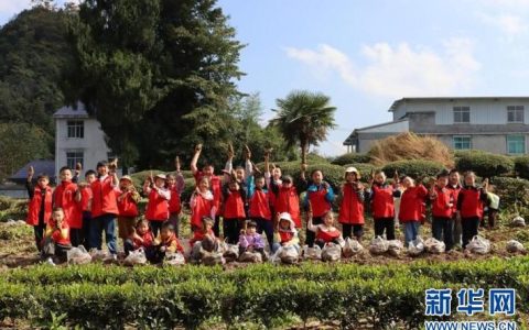 鹤峰：“双线培育”激活干部队伍“新动能”