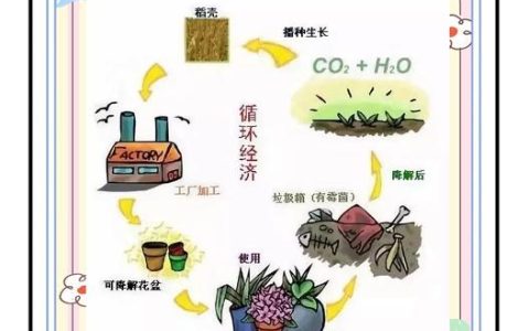 回龙山镇构建秸秆运用良性循环体系
