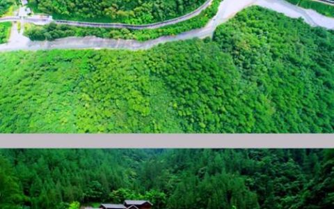 硬核助农！蕲春好物借“云”出山