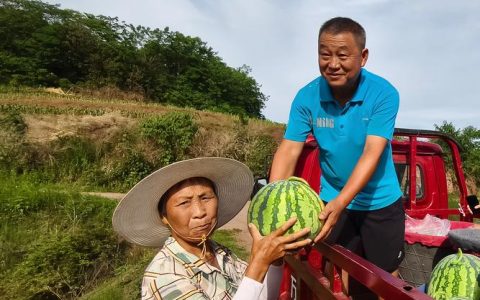 家乡味成最动人的风景     化身“母亲”的文旅局长“火出圈”