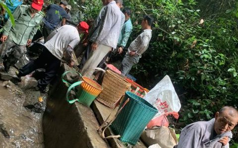 织密农饮“安全网”　注入振兴“水动力”——咸宁市保障农村饮水安全纪实