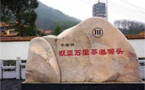 品文化 探茶乡 话机遇  “一带一路”境外媒体访赤壁