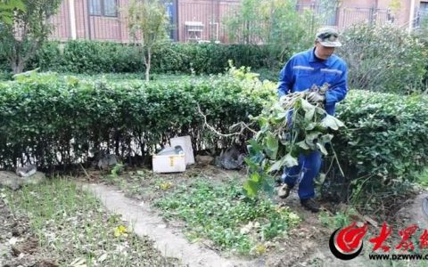 多部门联合执法治理非法占绿行为