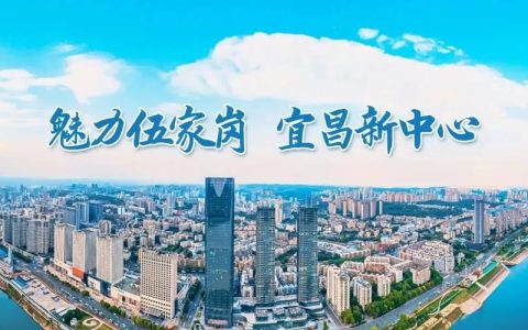 陌邻成睦邻——宜昌伍家岗15.9万志愿者的社区治理答卷