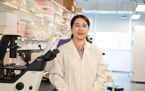 赵书红教授当选中国工程院院士