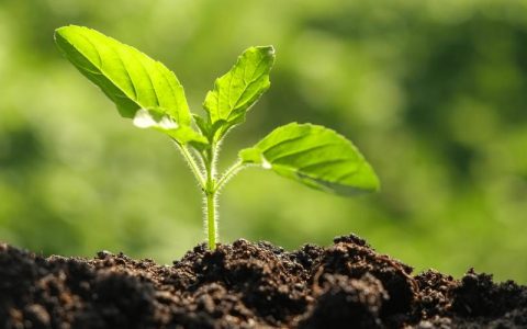 生态环境部土壤健康诊断与绿色修复重点实验室现场评估会议举行