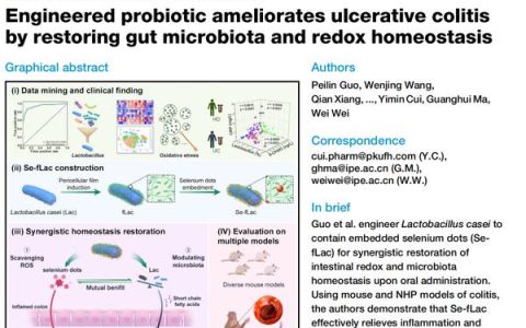 华中农业大学土壤化学与环境团队在Cell Host & Microbe发表展望“铁硫耦合自养代谢”的综述评论