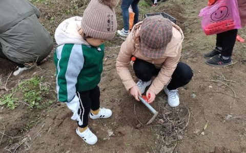 一起给冬天比个“叶”：华中农业大学幼儿园开展自然教育活动