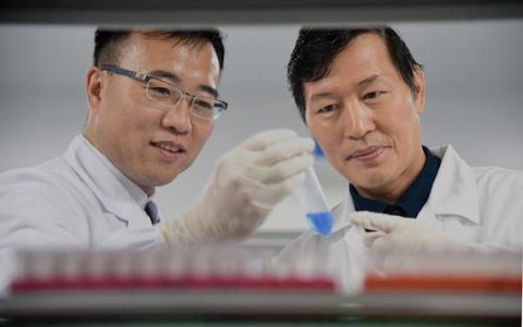 全球首创技术！武汉科技大学生科院顾潮江教授团队构建新型疗法有望治愈艾滋病