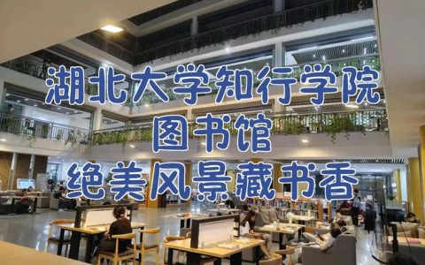 湖北大学获全省高校图书馆风采大赛一等奖