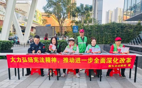 园林街道开展国家宪法日主题宣传活动