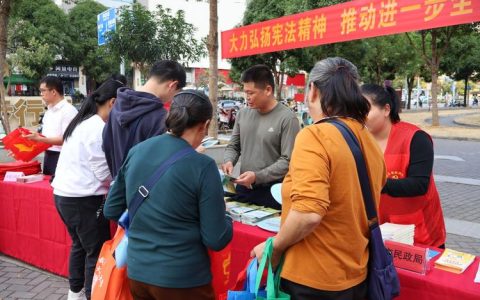 熊口镇组织开展国家宪法日集中宣传活动