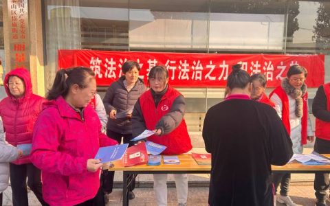 江汉义工志愿服务中心组织开展国家宪法日普法宣传活动
