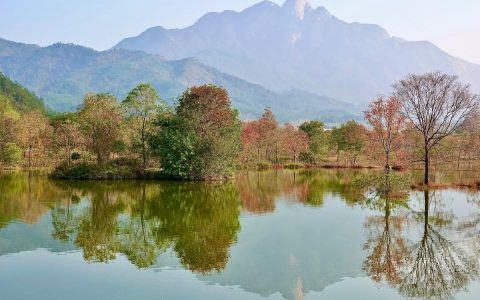 罗田九资河镇：红叶“燃”秋，乡村人气财气双“爆棚”