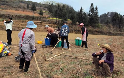英山温泉镇：冬闲抢抓农时，改造涉农设施备春耕》