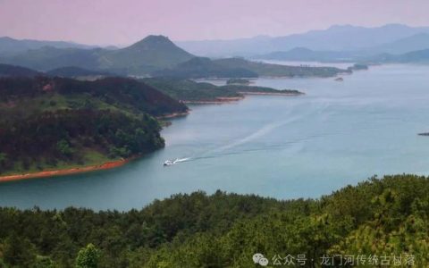 麻城浮桥河湿地：水杉绚烂，露营打卡正当时！