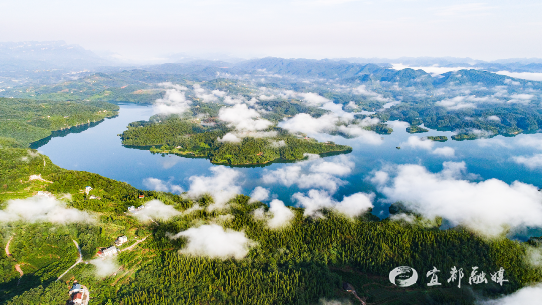 快看~宜都版“疯狂动物城”!