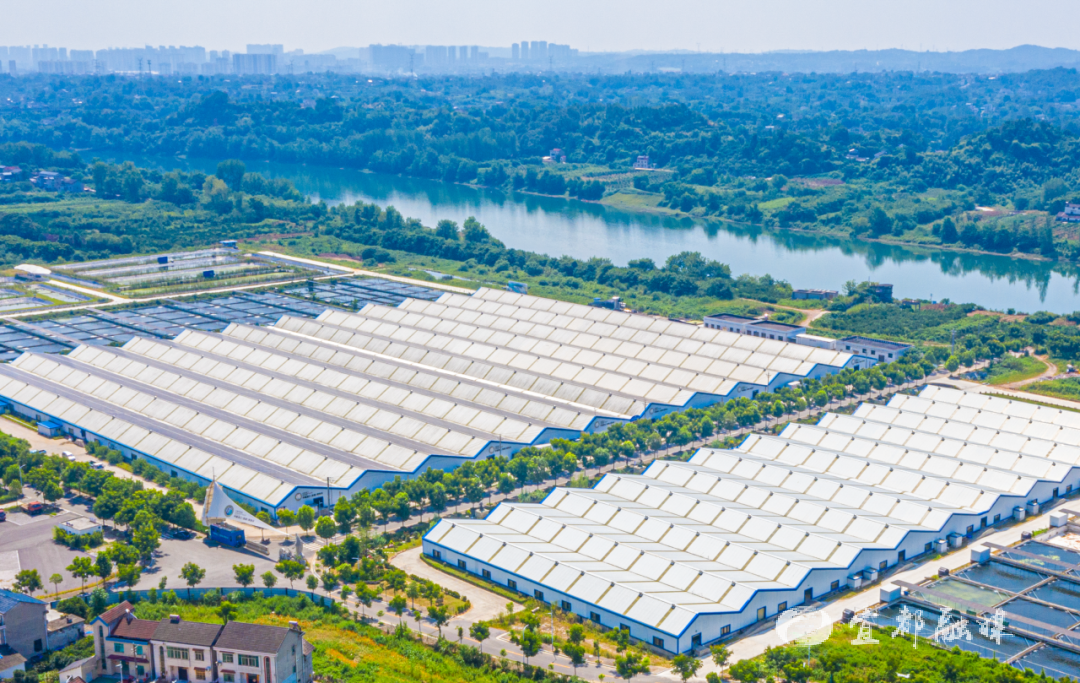 快看~宜都版“疯狂动物城”！