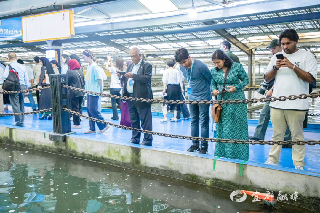 快看~宜都版“疯狂动物城”!