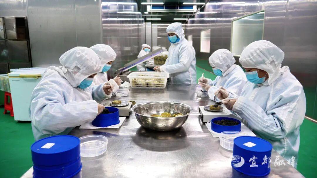 快看~宜都版“疯狂动物城”!