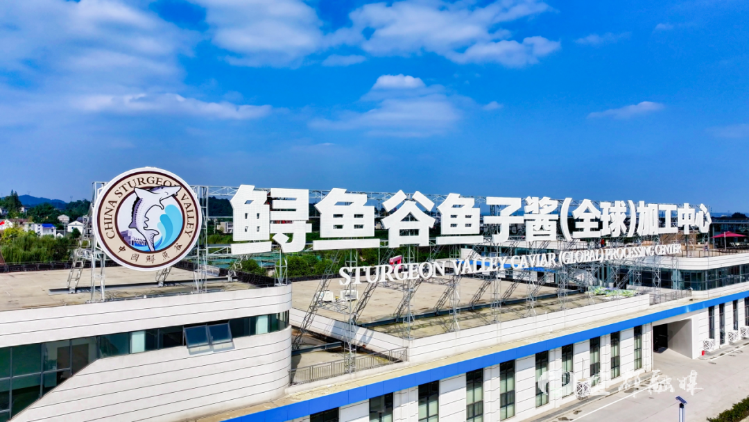 快看~宜都版“疯狂动物城”!