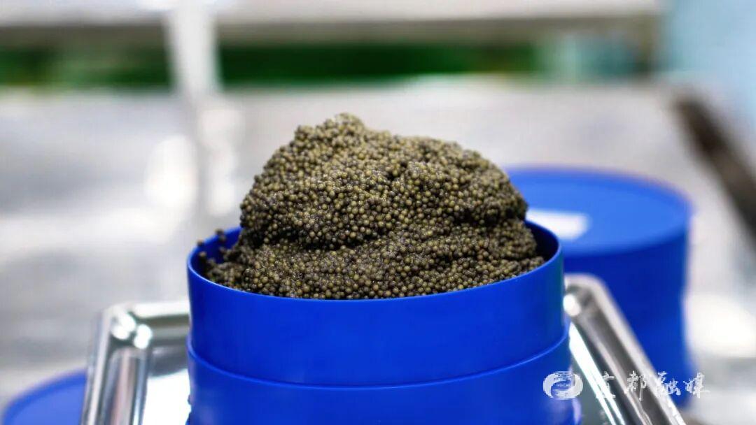 快看~宜都版“疯狂动物城”!