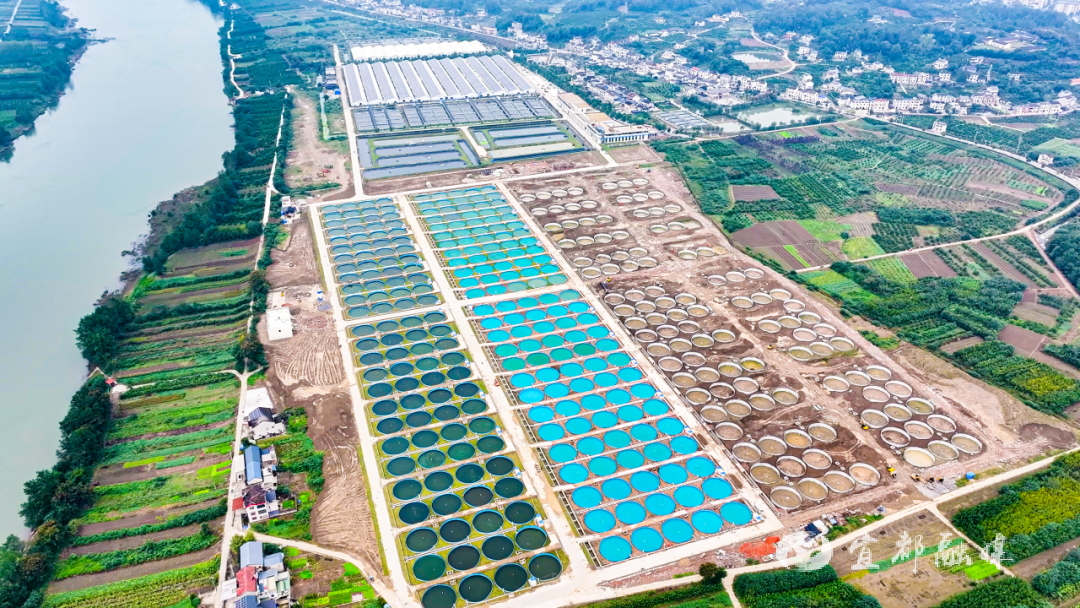 快看~宜都版“疯狂动物城”!