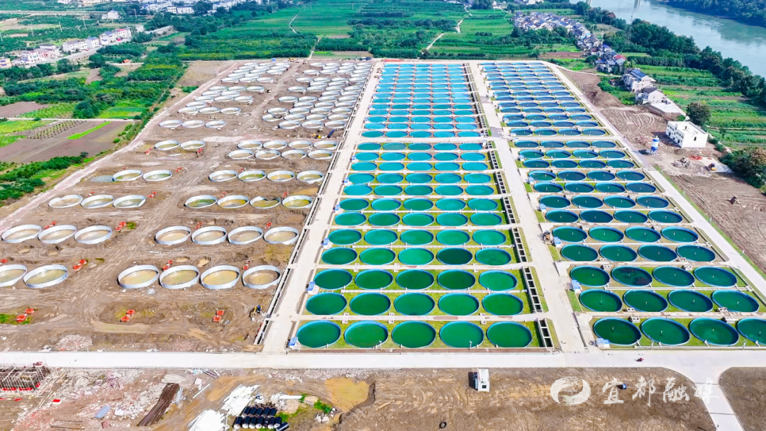 快看~宜都版“疯狂动物城”！